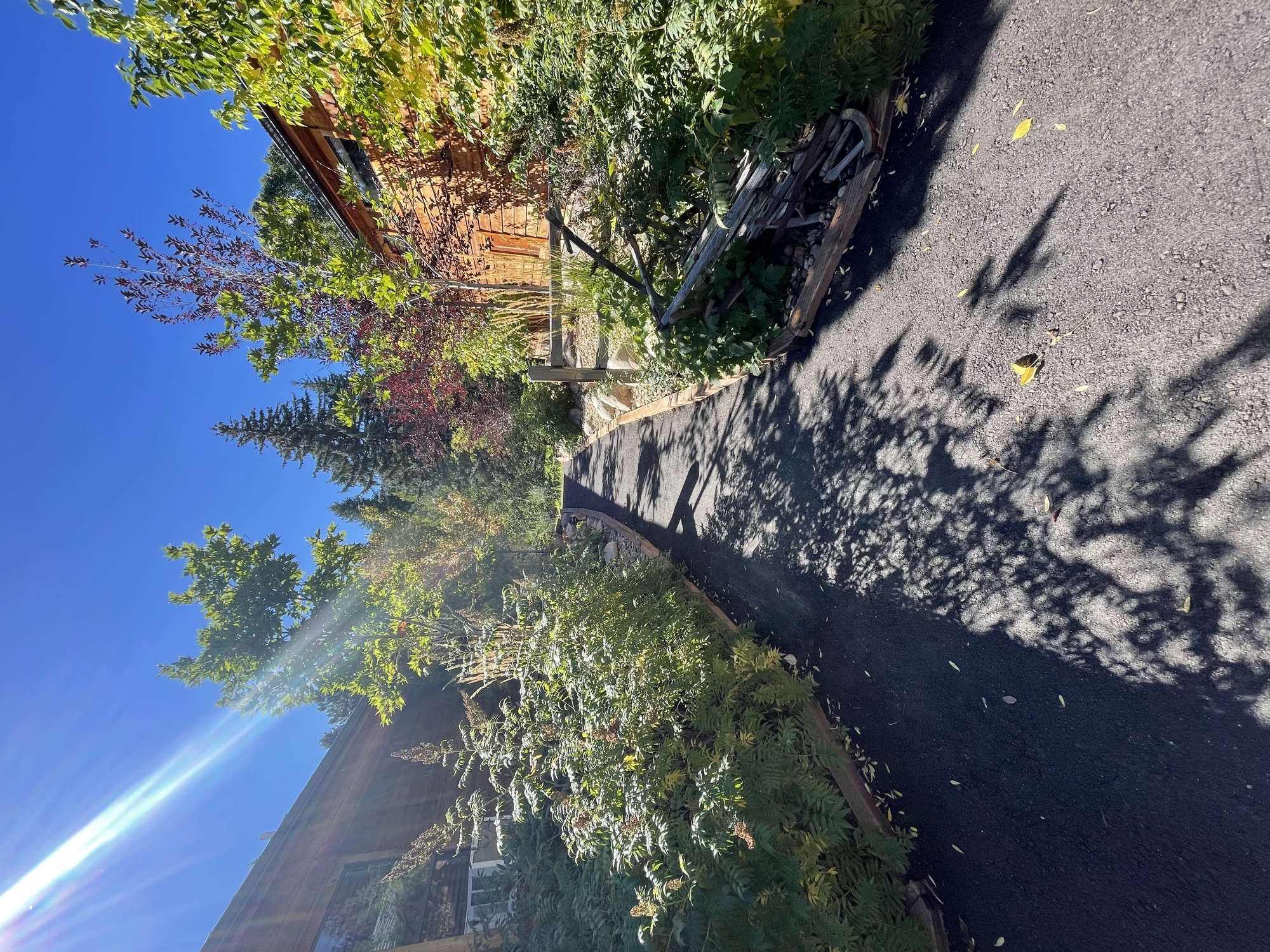 Autumn leaves on the path