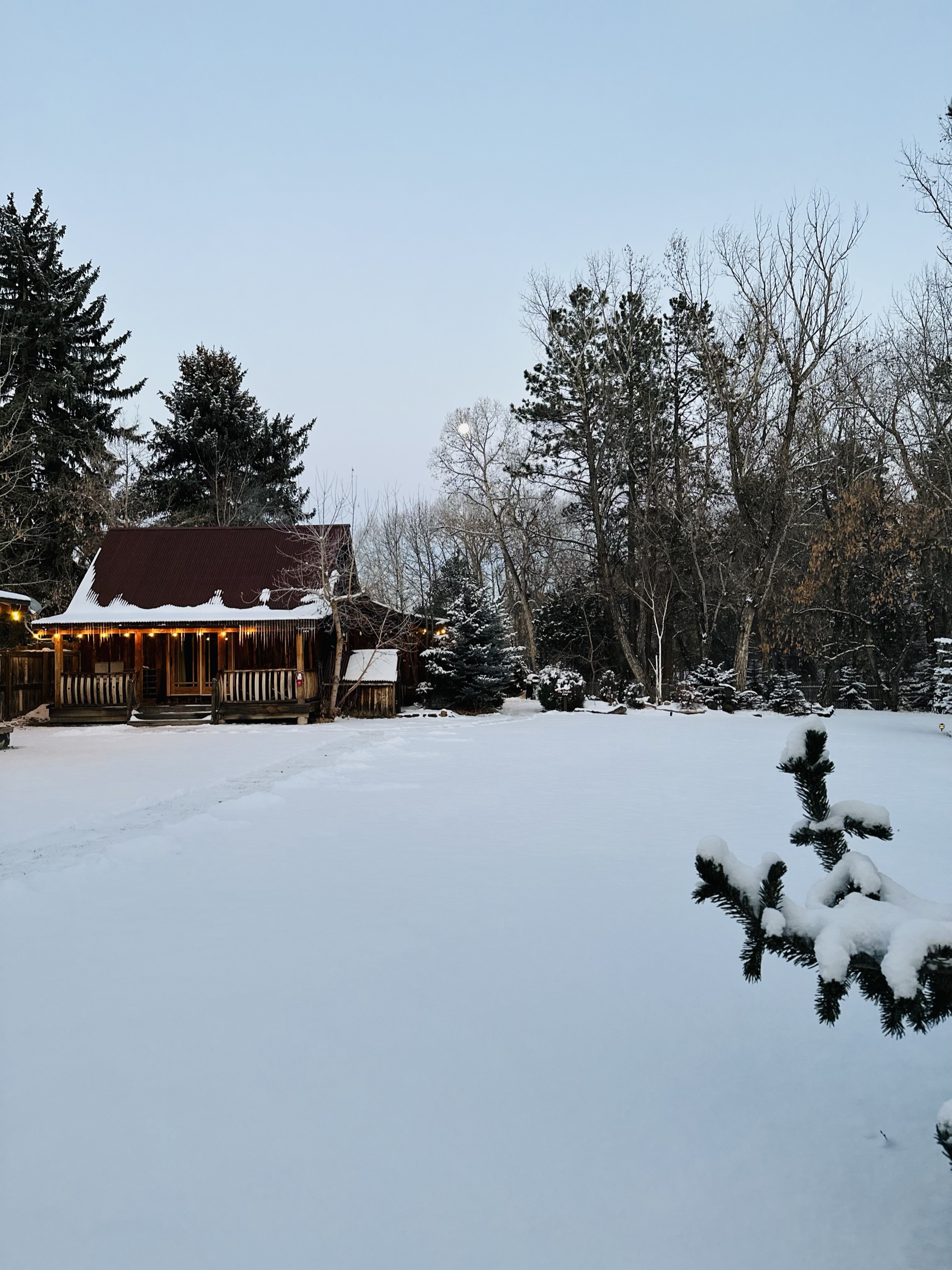 Cabin in snow with twinkle lights