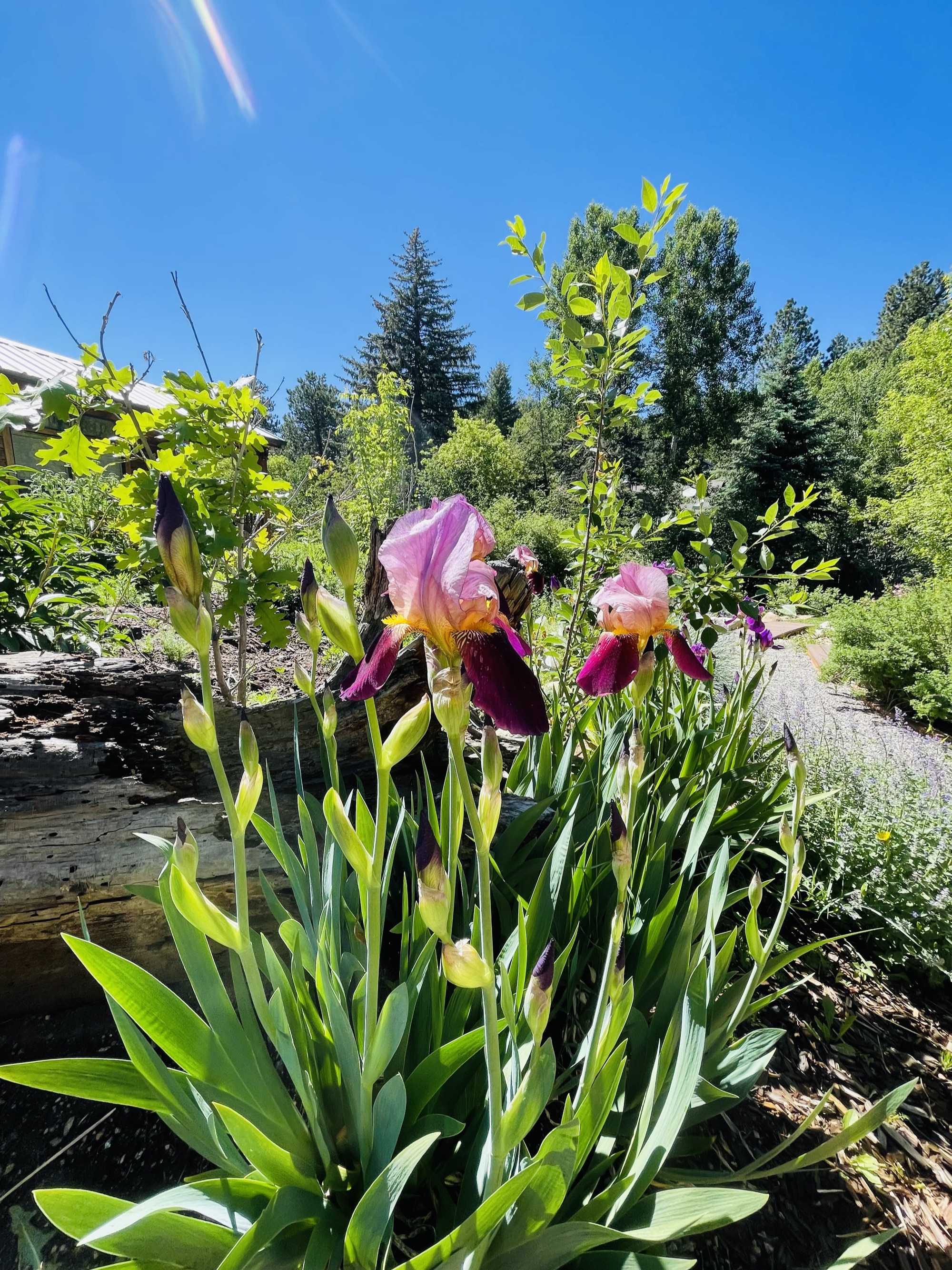 Patio umbrella with mountain view