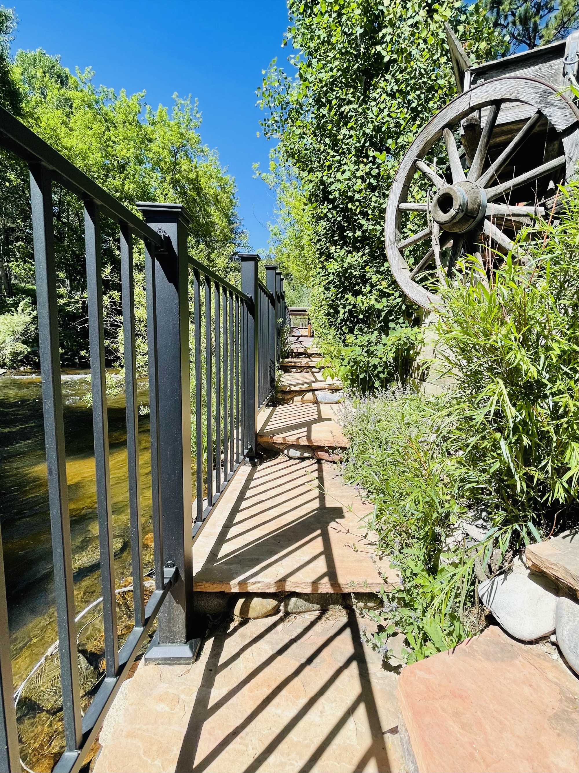 Pathway along the creek