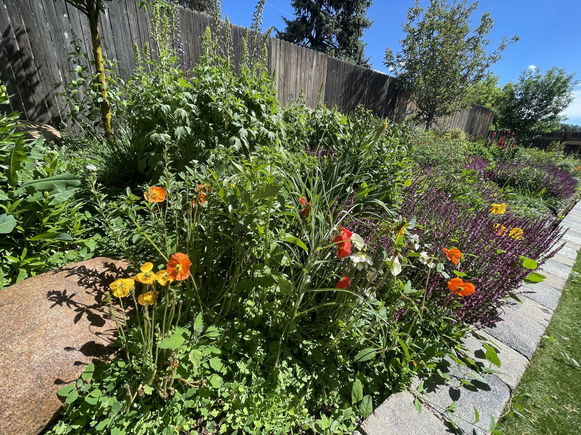 Flower garden against fence