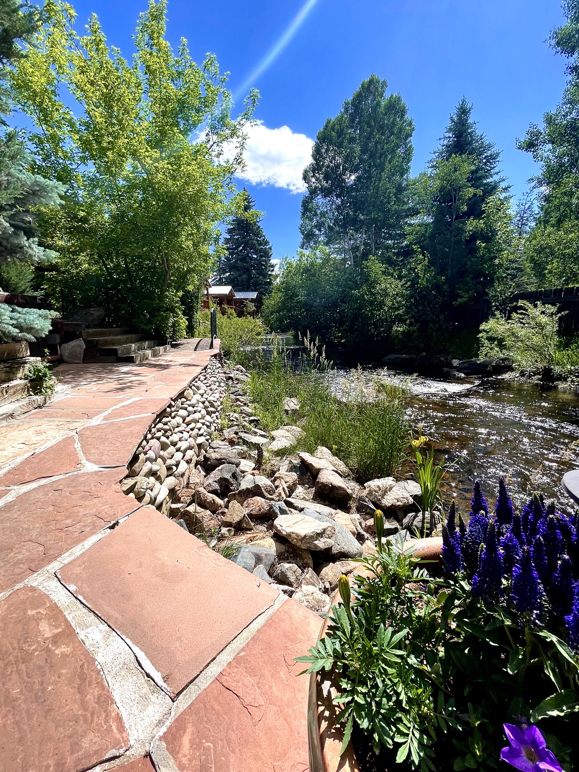 Creekside pathway with lavender