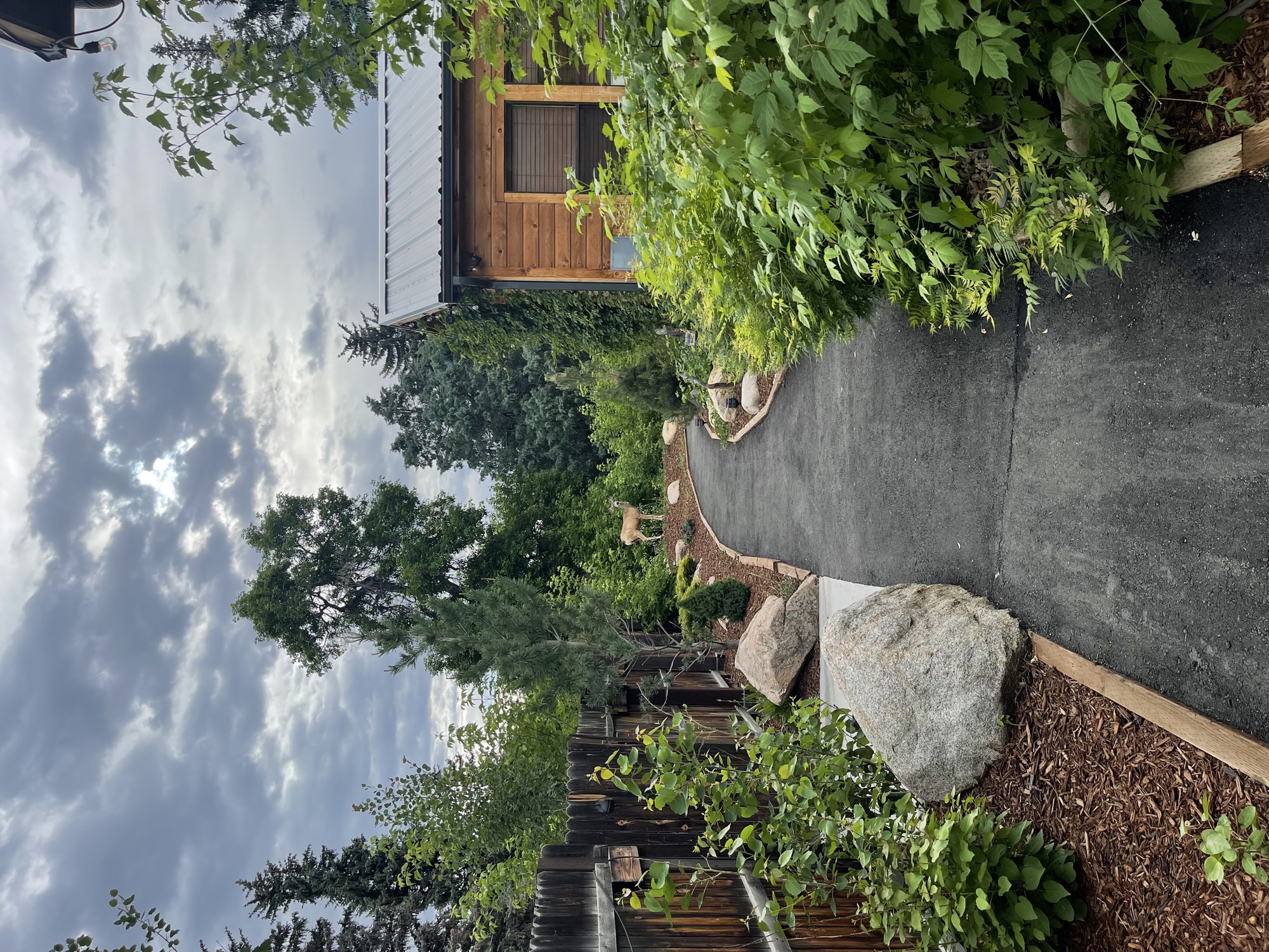Cabin with rock landscaping