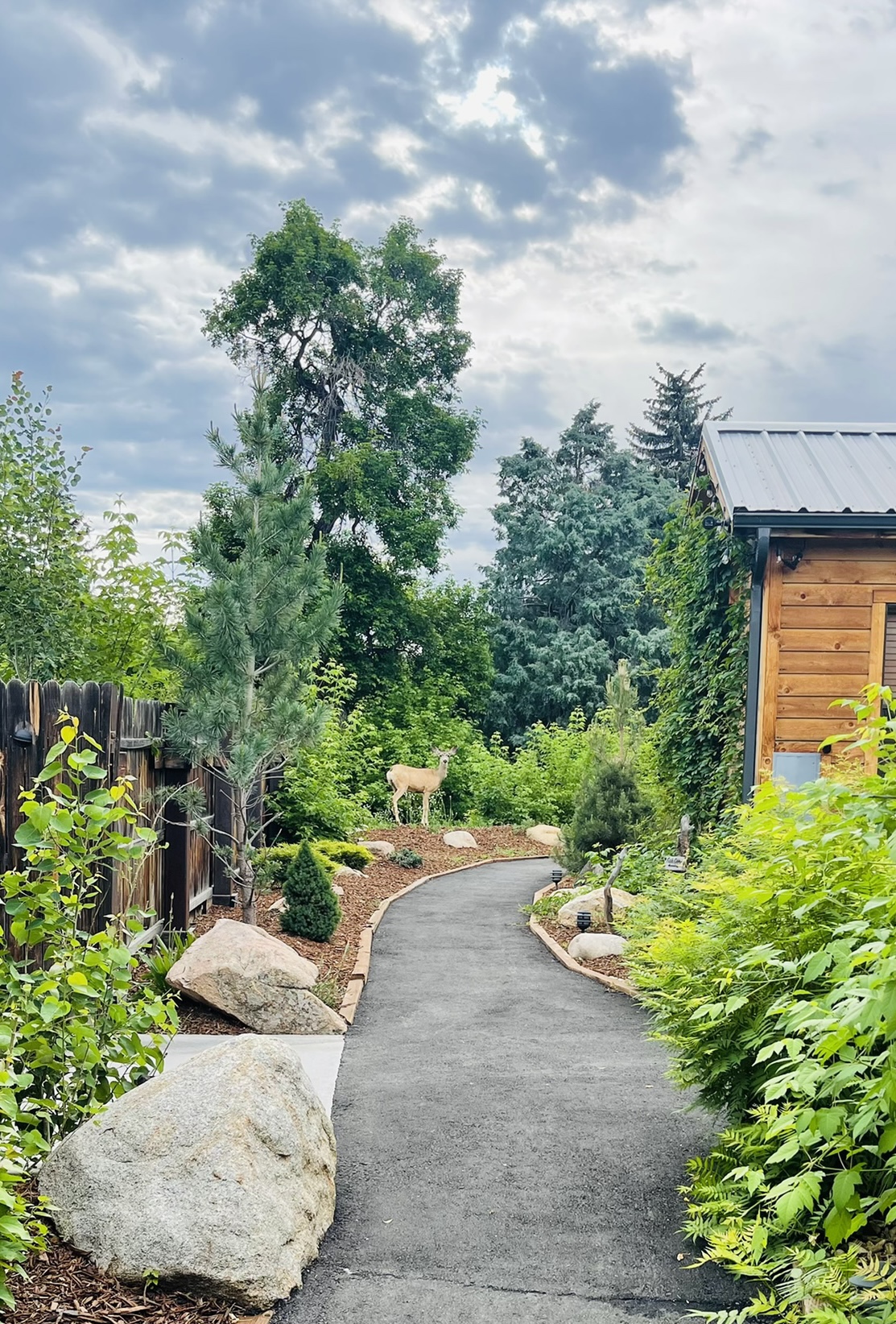 Garden pathway between cabins