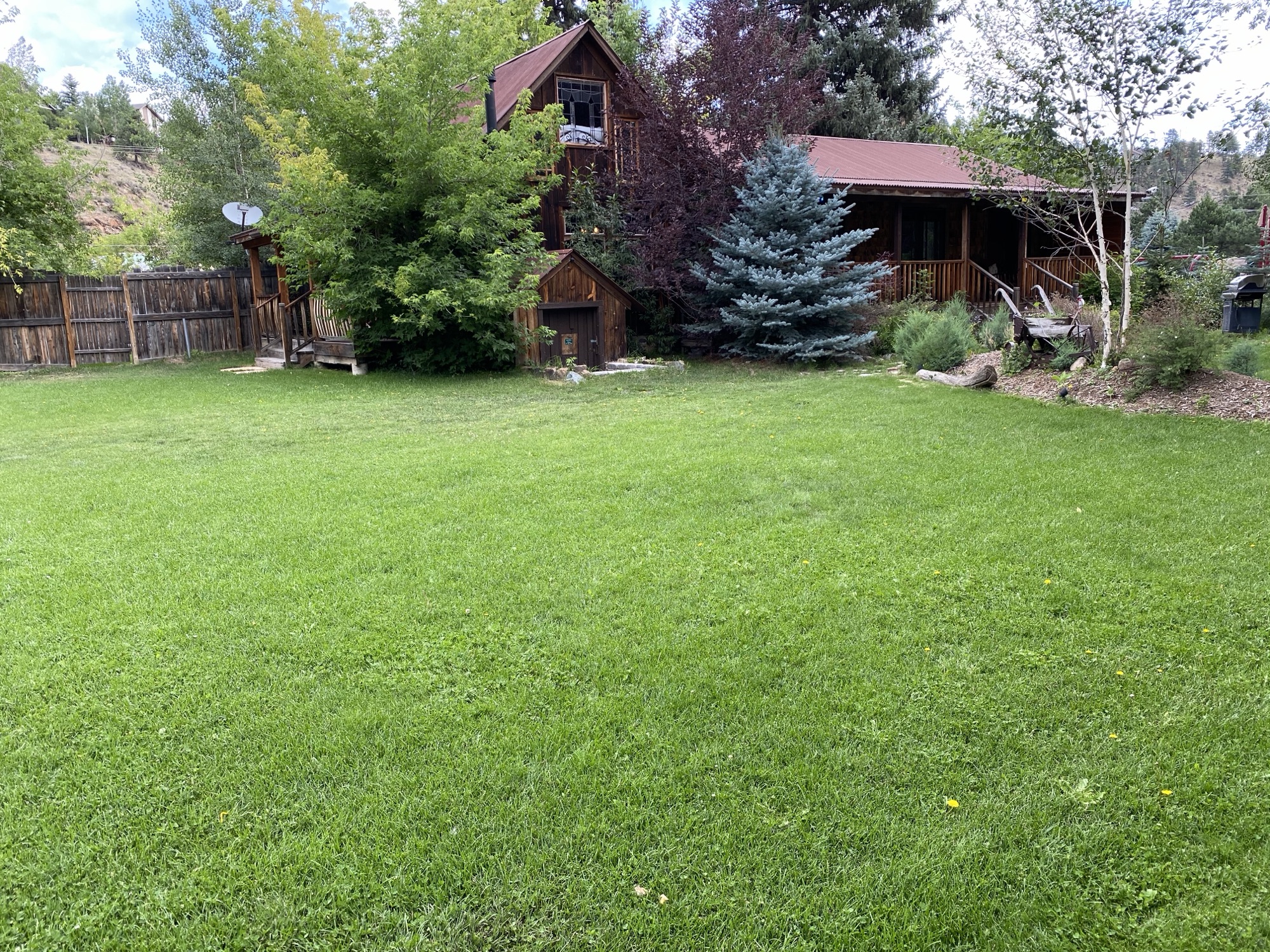 Grass lawn with cabin