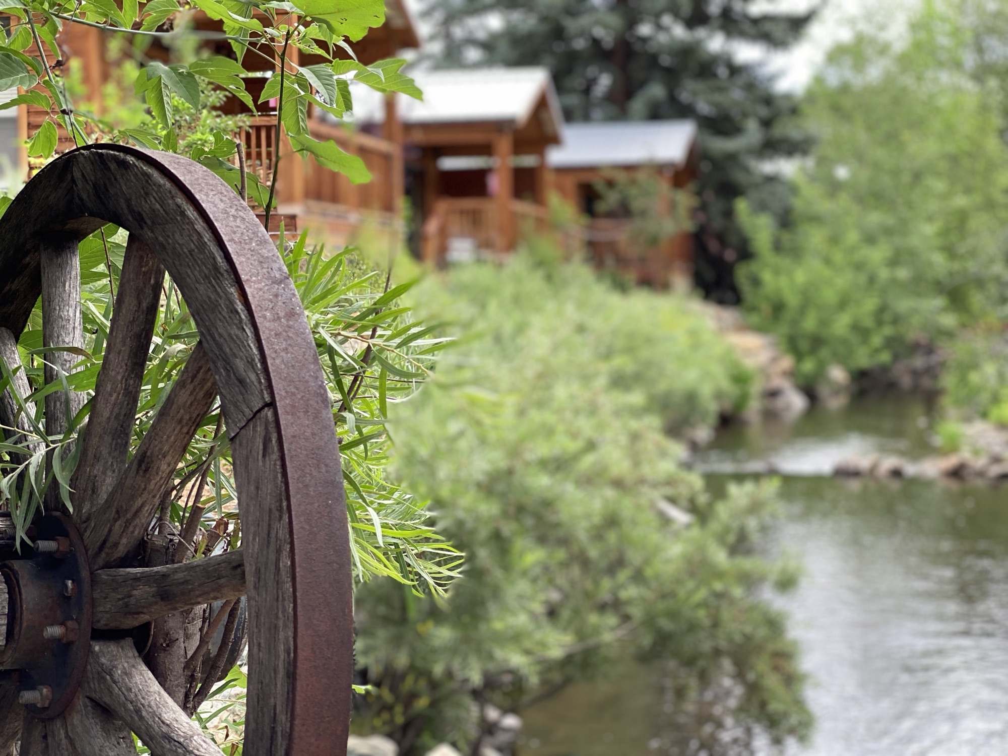 Wagon wheel by the creek