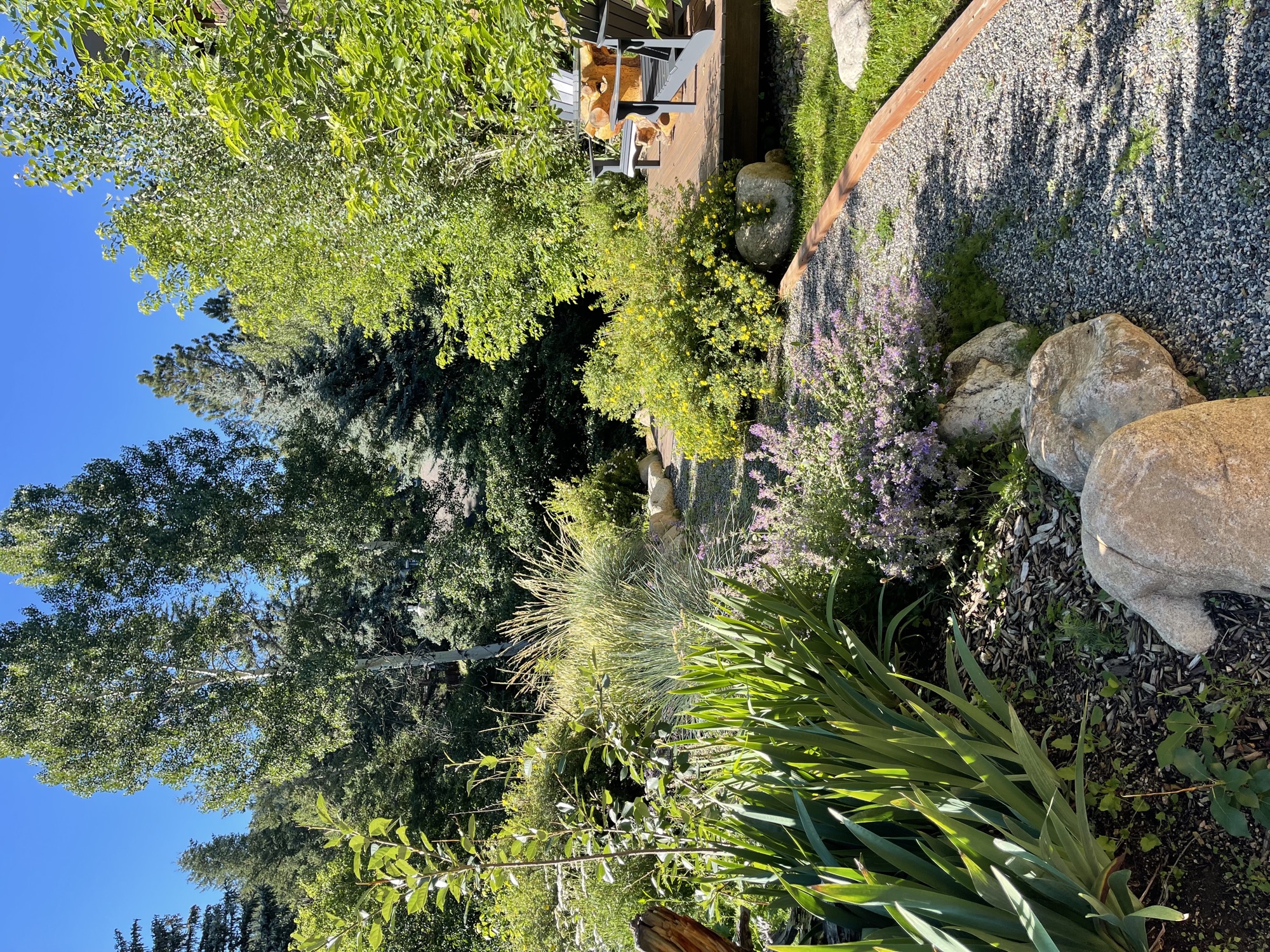Landscaped garden path